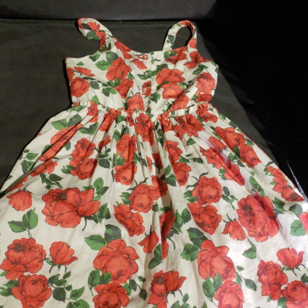 Disney rose dress